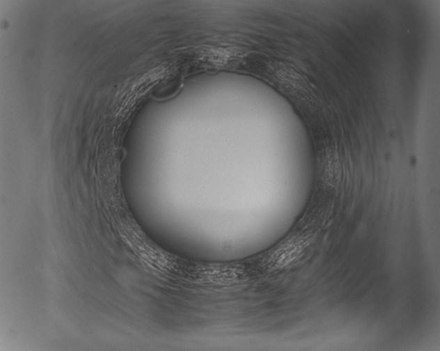 X0000054431105200508011350