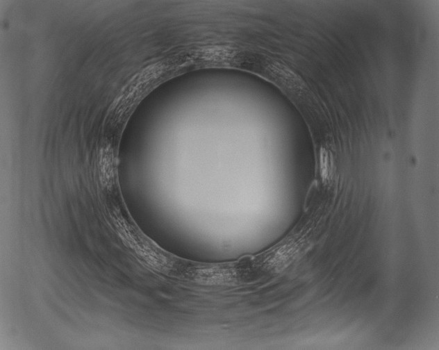 X0000054431107200508011350