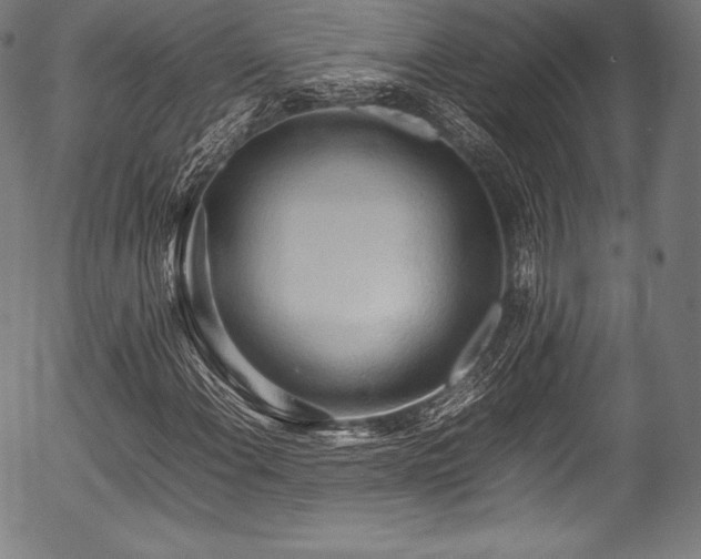 X0000054431108200508011350