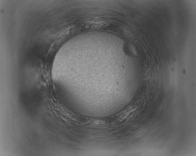 X0000054431109200508011350