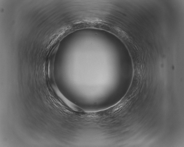 X0000054431110200508011350