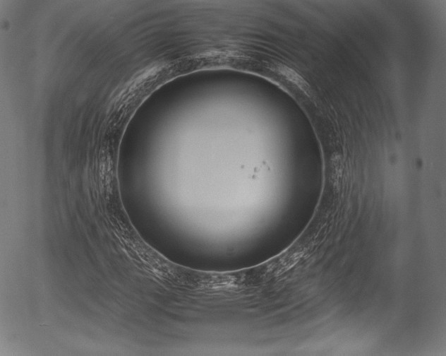 X0000054431111200508011350