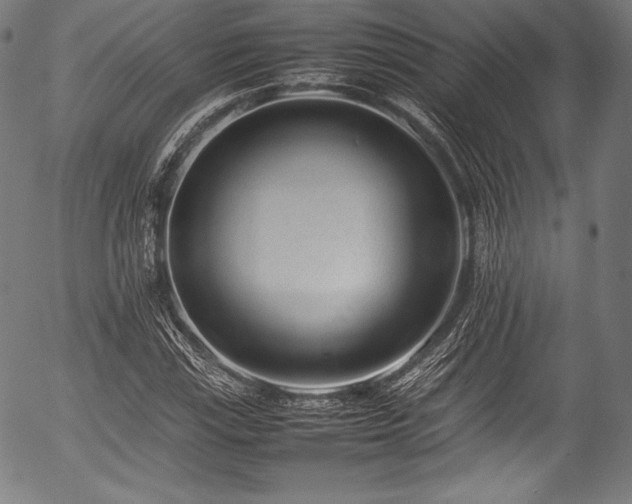 X0000054431115200508011350