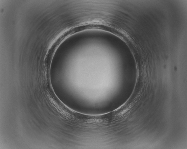 X0000054431118200508011350