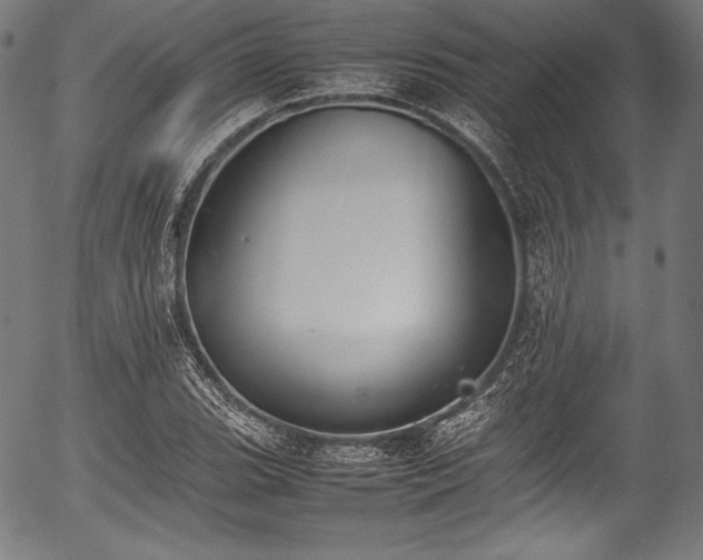 X0000054431119200508011350