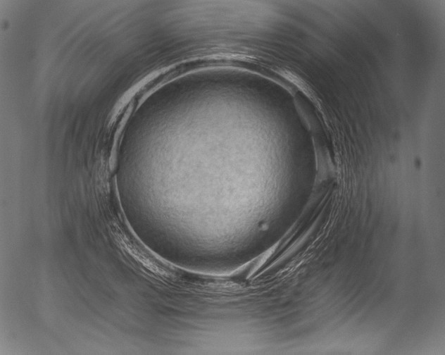 X0000054431120200508011350