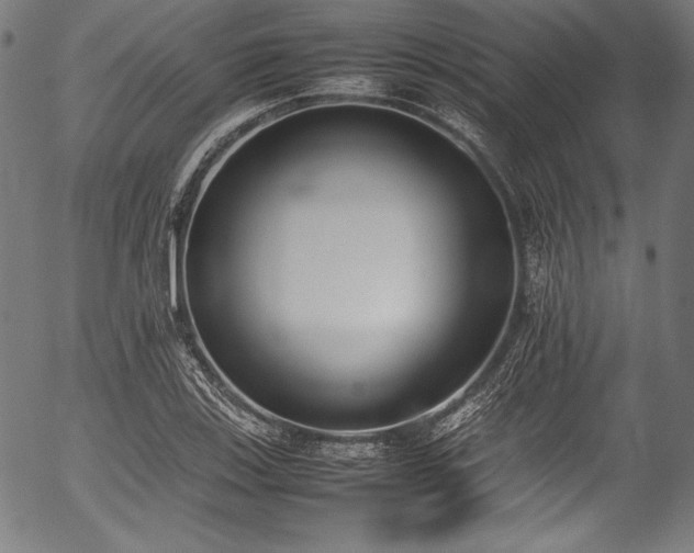 X0000054431123200508011350