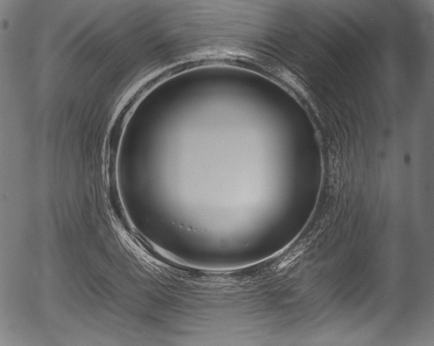 X0000054431124200508011350