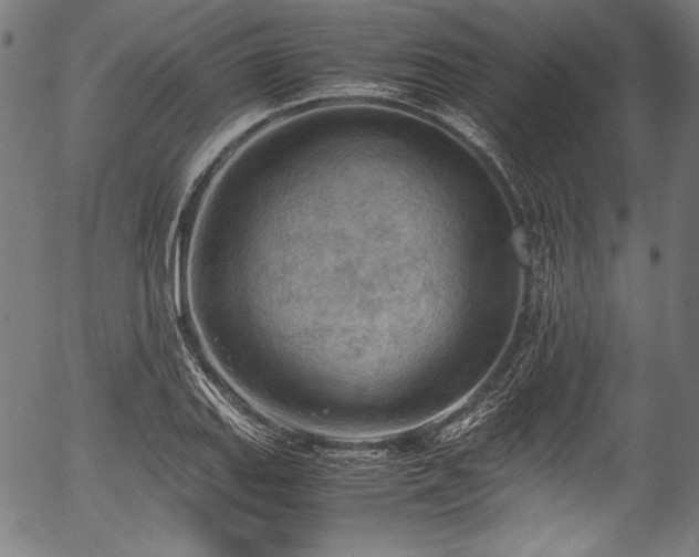 X0000054431127200508011350