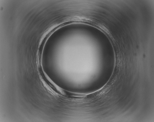 X0000054431128200508011350