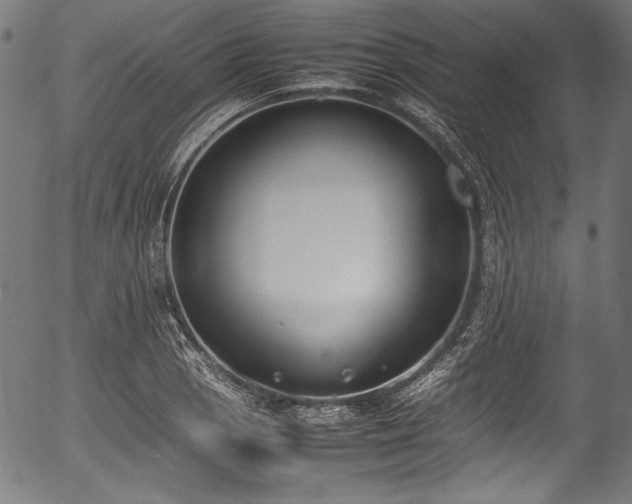 X0000054431129200508011350