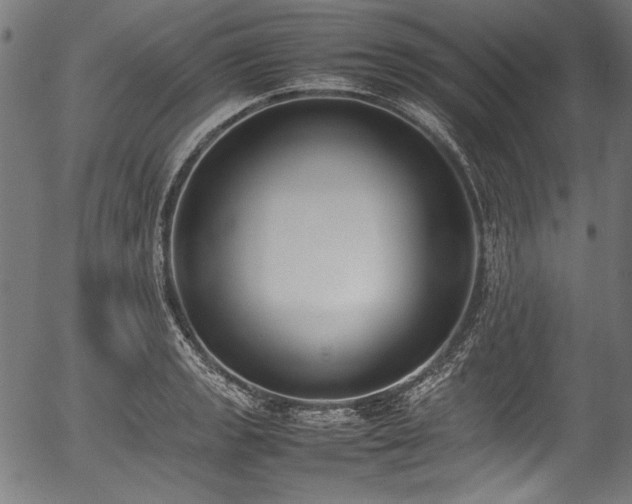 X0000054431133200508011350