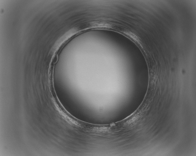 X0000054431135200508011350