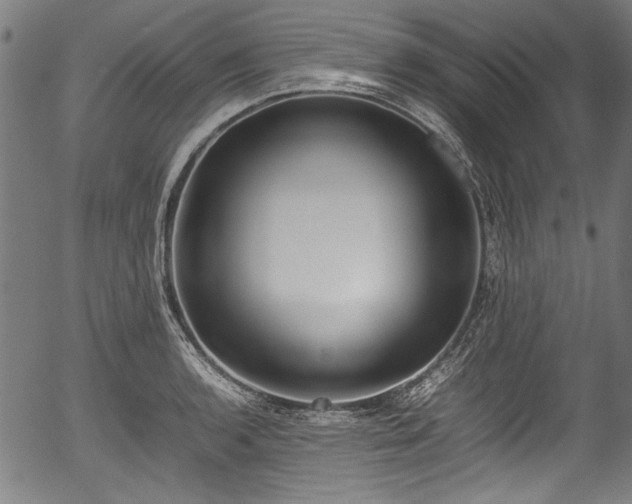 X0000054431136200508011350