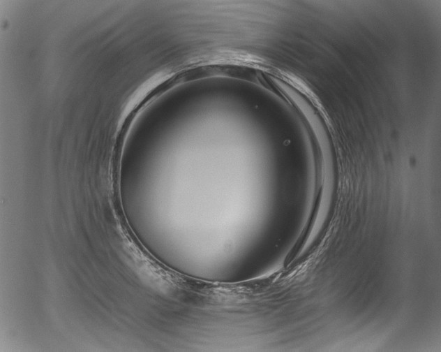 X0000054431138200508011350