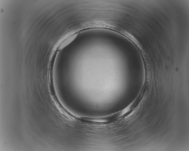X0000054431144200508011351