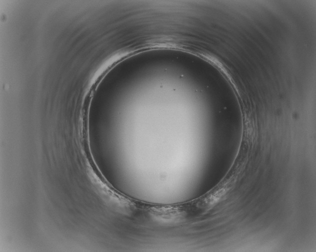 X0000054431147200508011351
