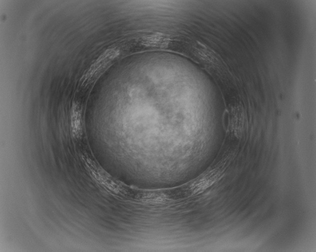 X0000054431154200508011350
