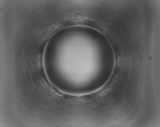 X0000054431156200508011350