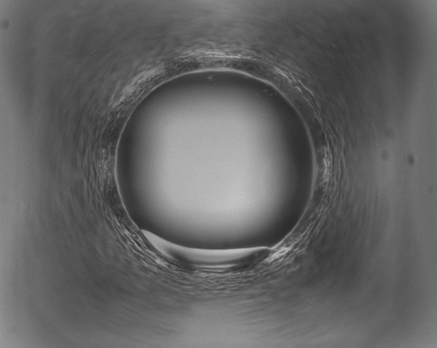 X0000054431157200508011350