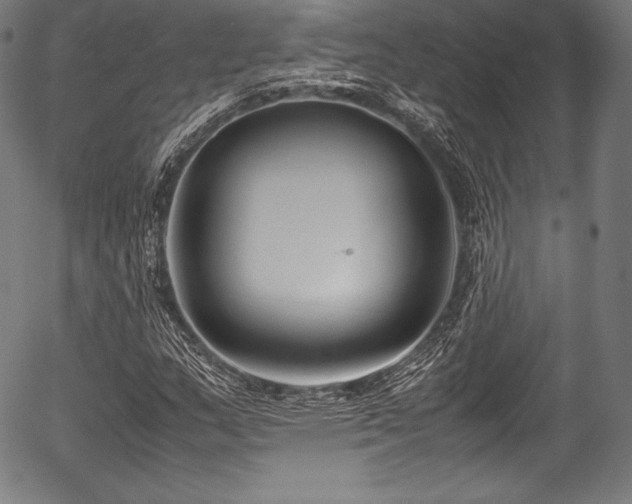 X0000054431159200508011350