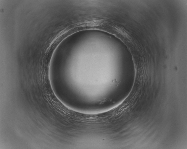 X0000054431160200508011350
