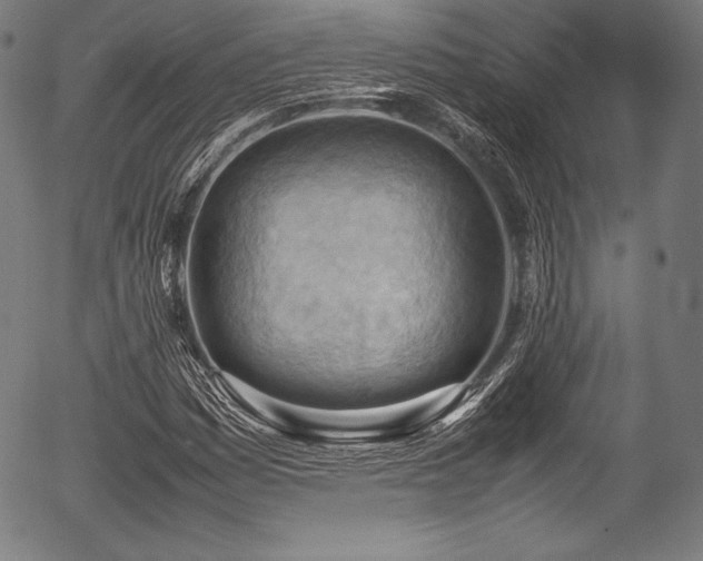 X0000054431161200508011350