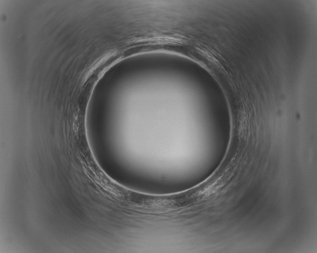 X0000054431163200508011350