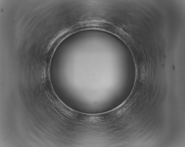 X0000054431166200508011350