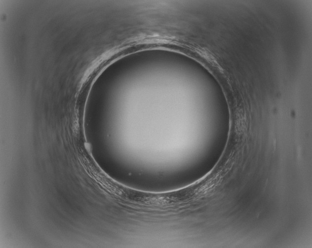 X0000054431167200508011350