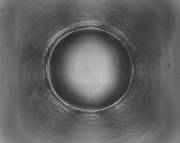X0000054431168200508011350