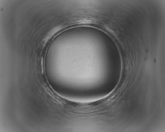 X0000054431171200508011350