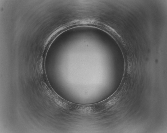 X0000054431174200508011350