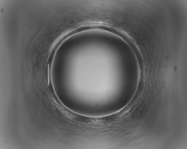 X0000054431175200508011350