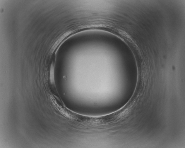 X0000054431177200508011349