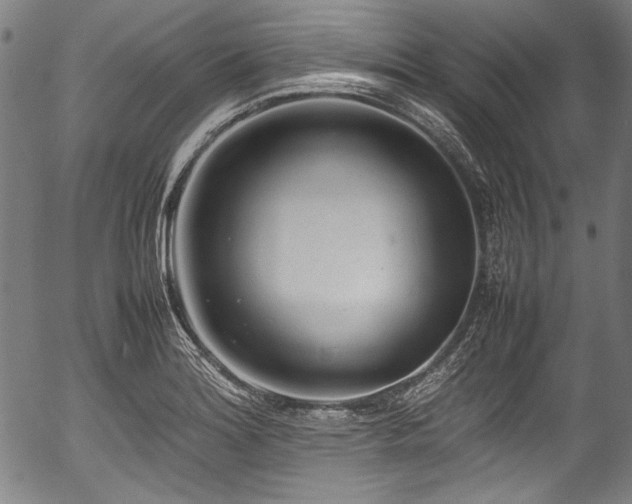 X0000054431180200508011349
