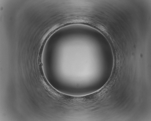 X0000054431181200508011349