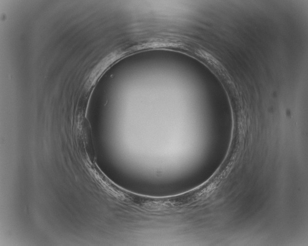 X0000054431185200508011349