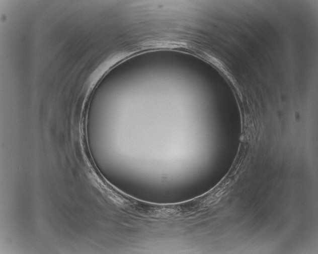X0000054431187200508011349