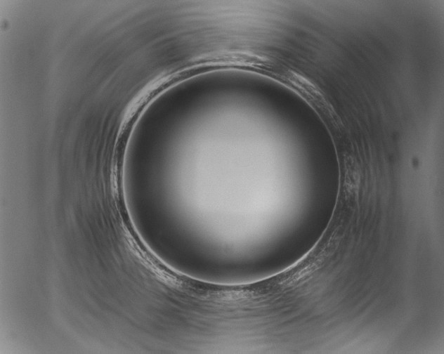 X0000054431188200508011349