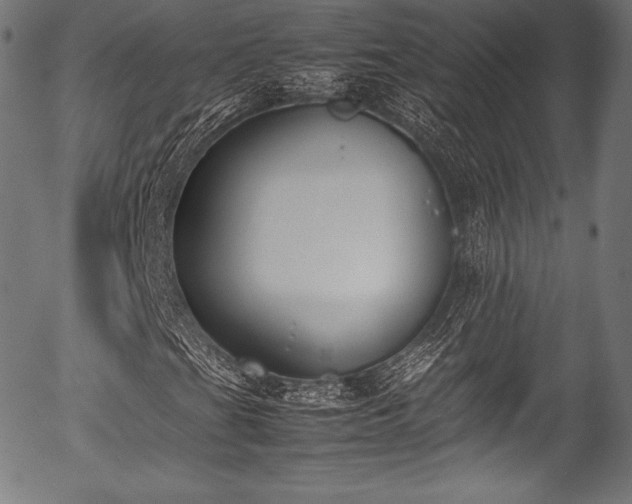 X0000054431201200508011348