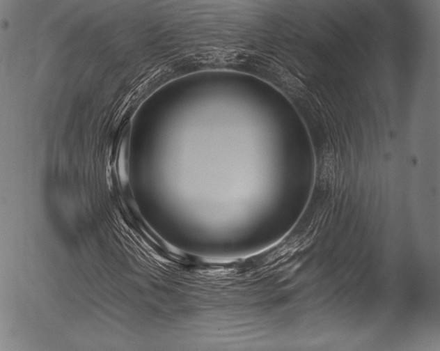 X0000054431202200508011348