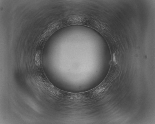 X0000054431203200508011348