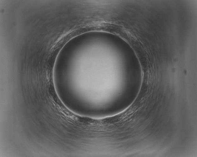 X0000054431206200508011348