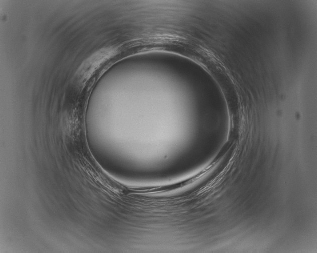 X0000054431210200508011348