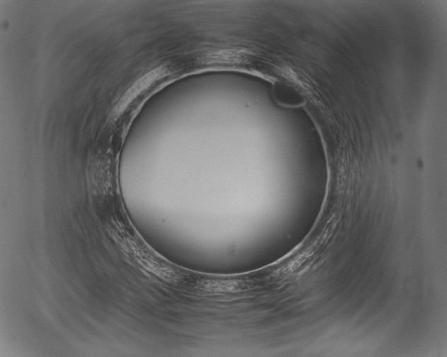 X0000054431211200508011348
