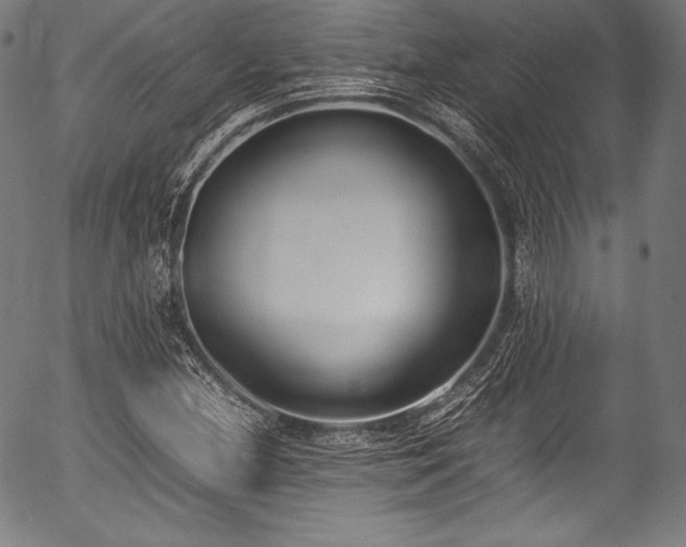 X0000054431212200508011348