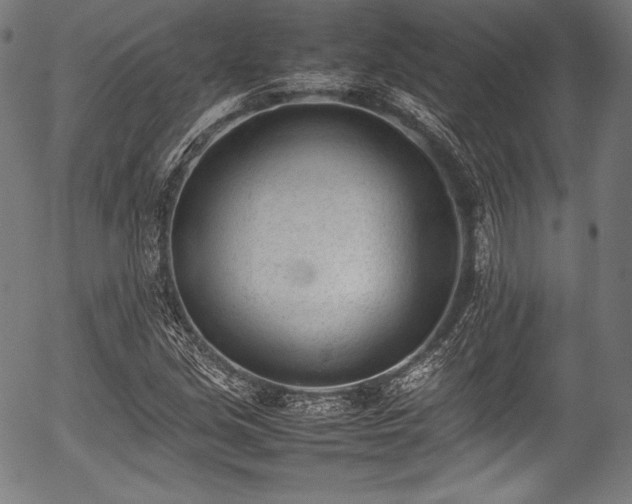 X0000054431213200508011348