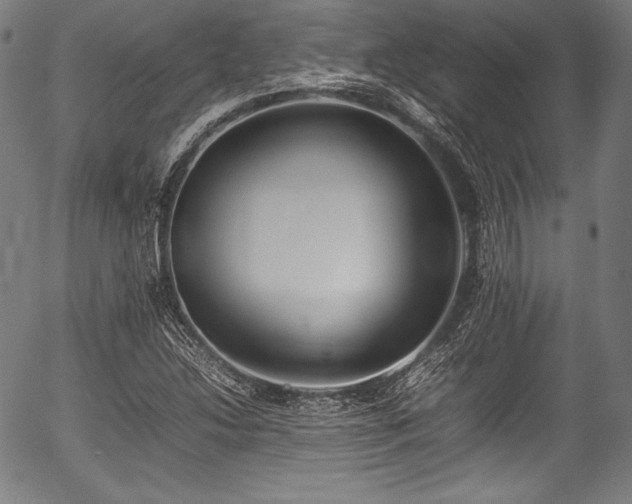 X0000054431214200508011349