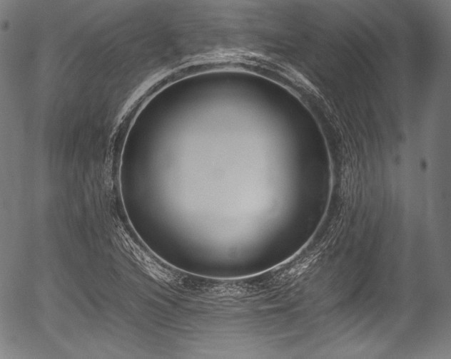 X0000054431216200508011349